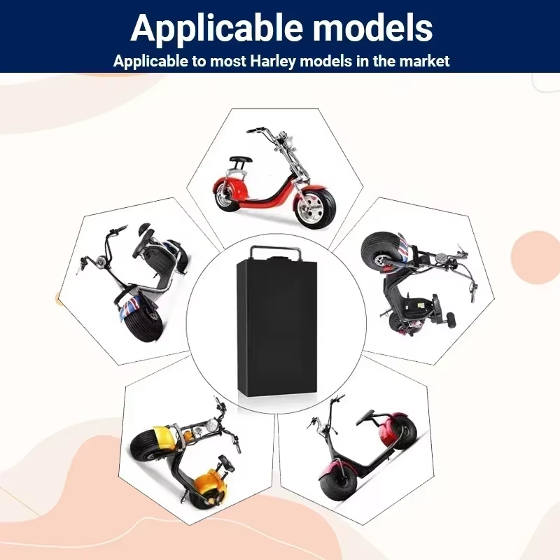 Batterie pour moto électrique  - 60V 30Ah Electric Scooter Battery avis et prix