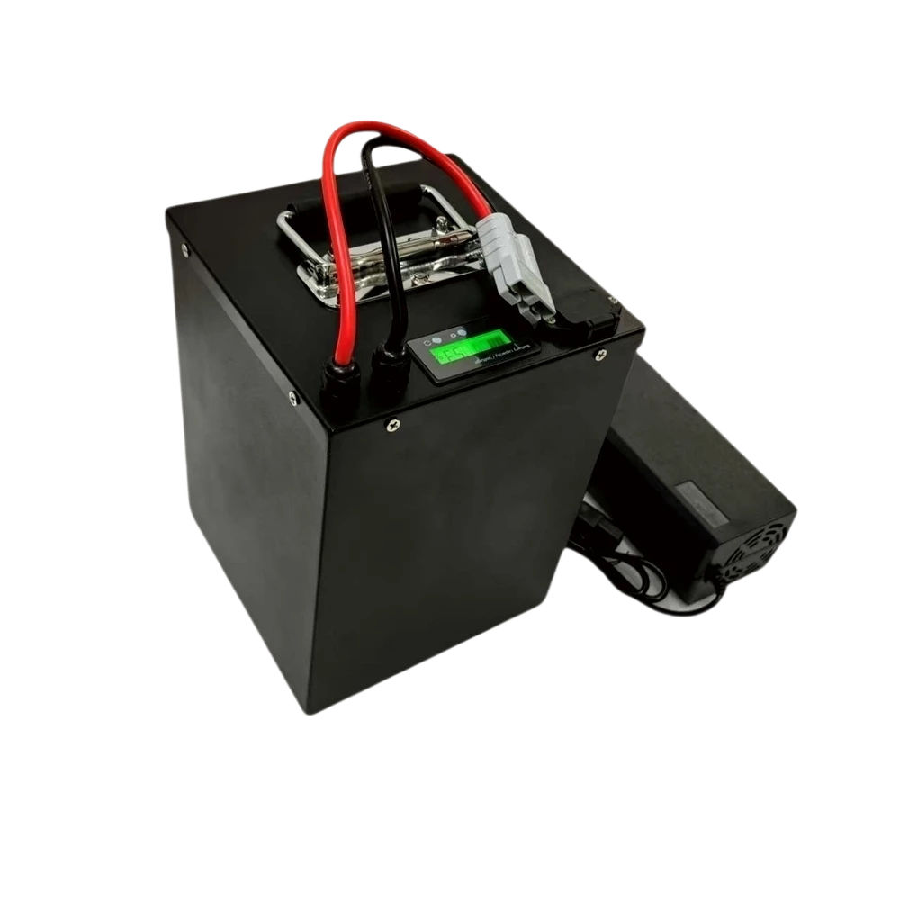 JN- 24S BMS 72V 20Ah 40Ah 60Ah - 72V 60Ah Lifepo4 Battery Pack avis et prix